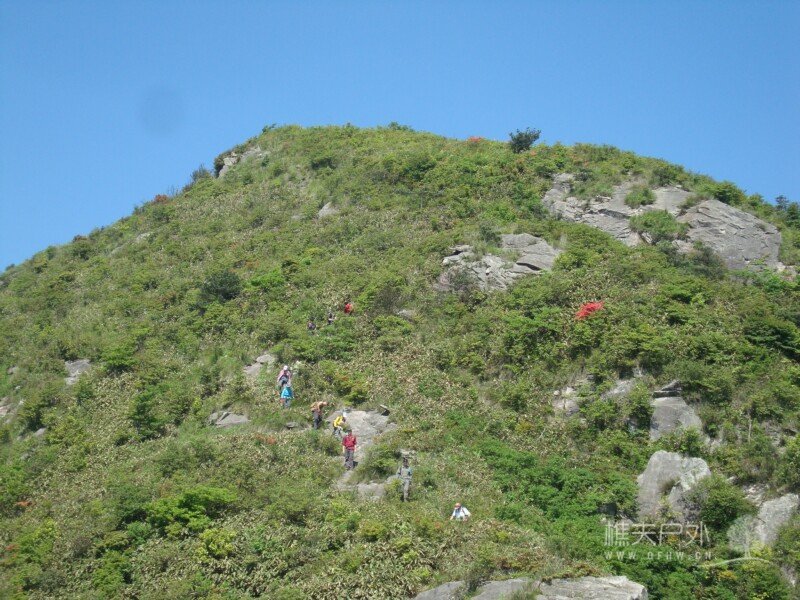 DSC07380.jpg