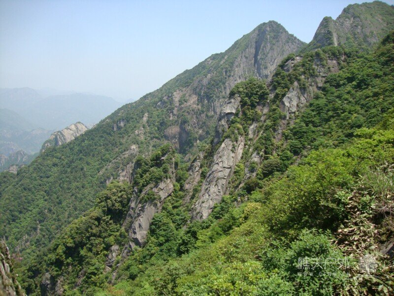 DSC07410.jpg