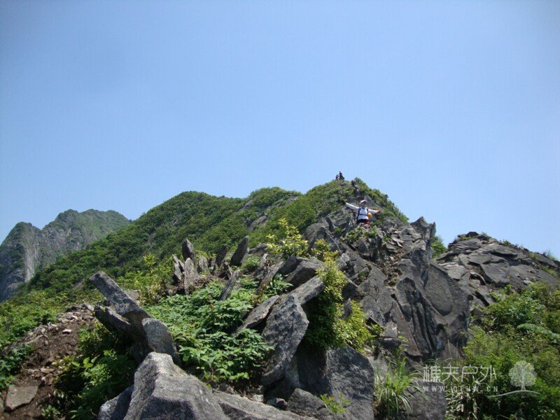 DSC07411.jpg