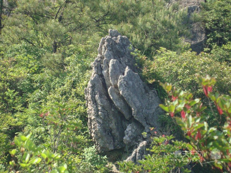 DSC07472.jpg