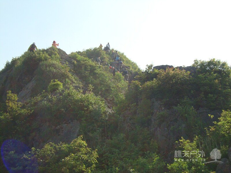 DSC07490.jpg