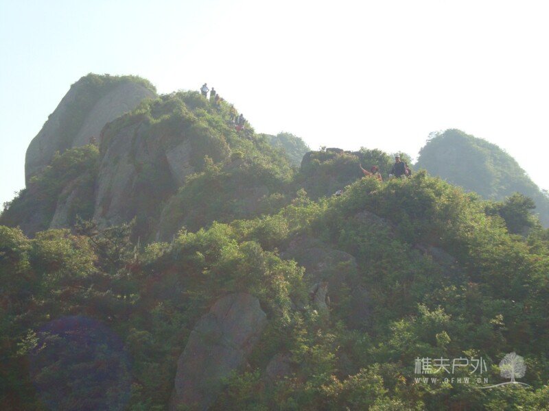 DSC07496.jpg