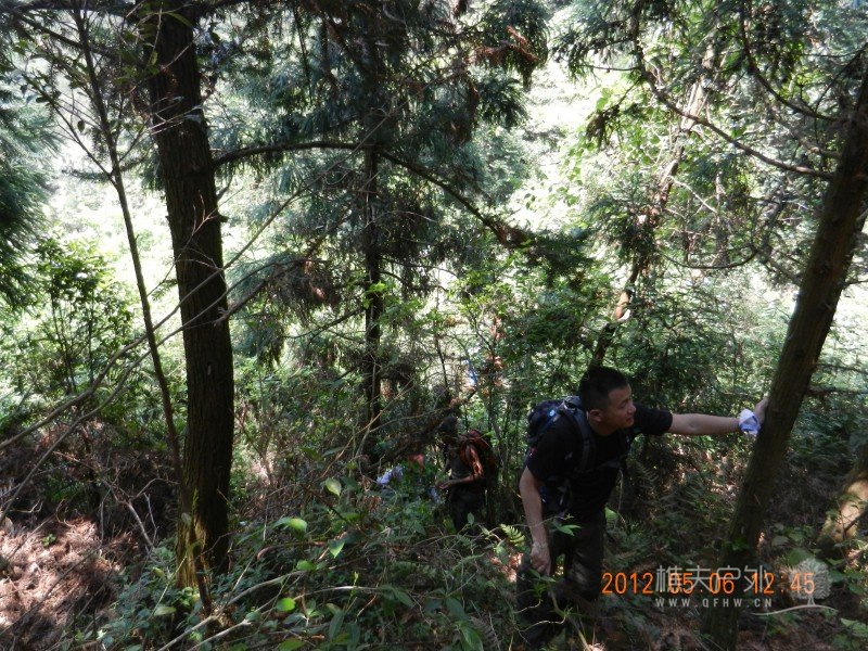 DSCN1728.jpg
