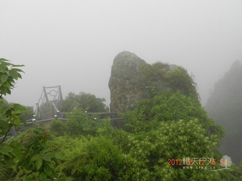 DSCN2022.jpg