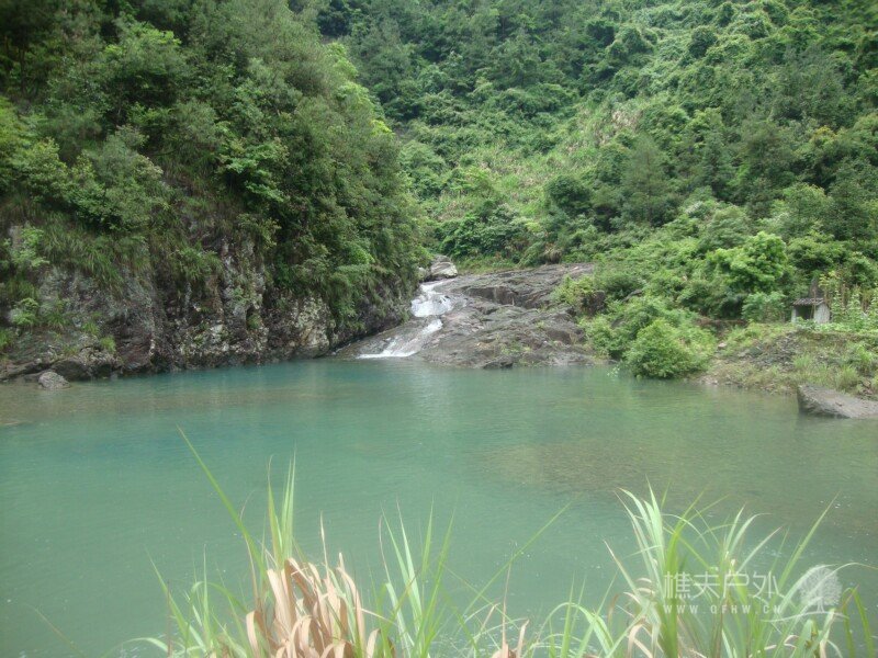 DSC07927.jpg
