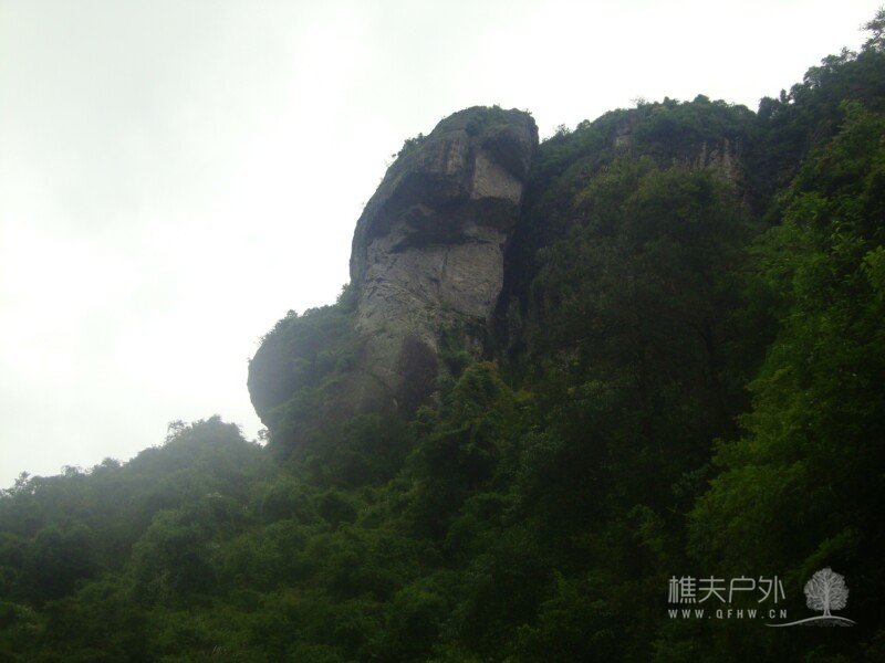 DSC07961.jpg
