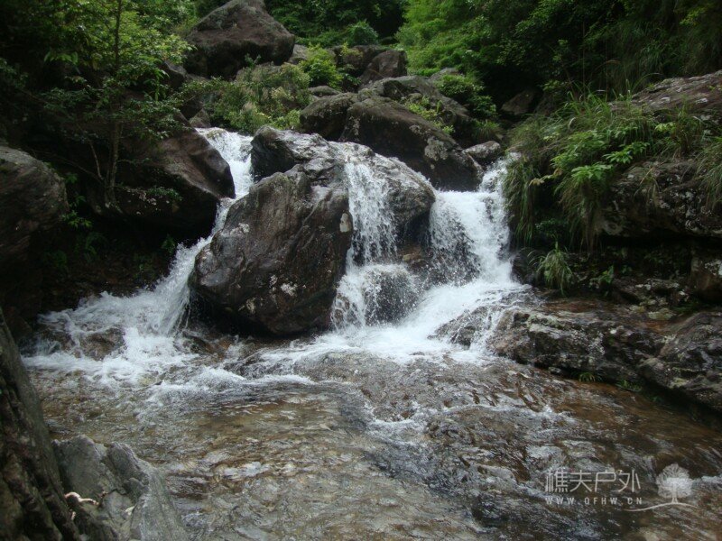 DSC07987.jpg