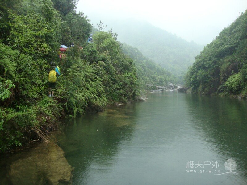 DSC07881.jpg