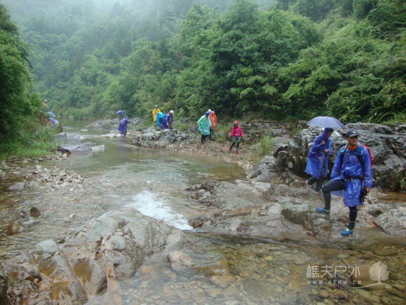 DSC07884.jpg