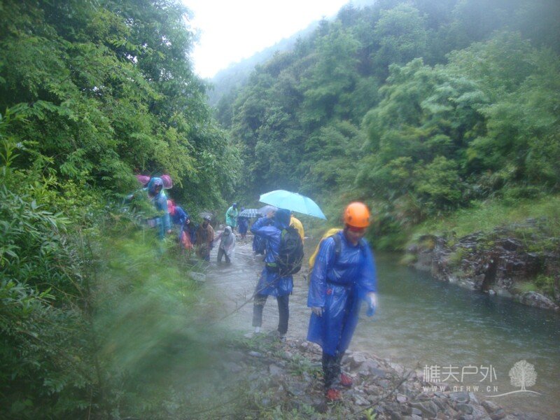 DSC07917.jpg