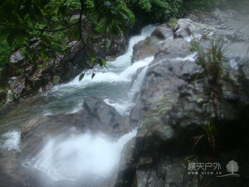 DSC07918.jpg
