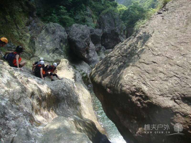 DSC08090.jpg