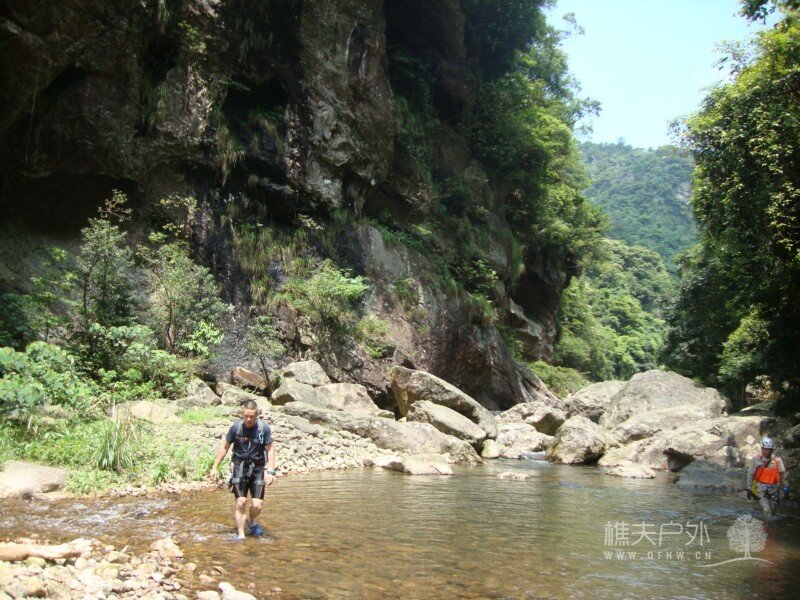DSC08117.jpg