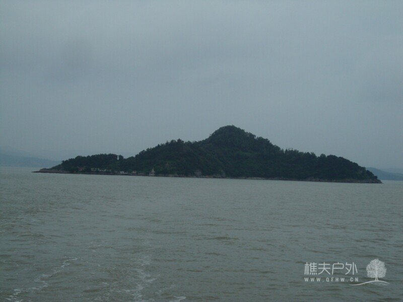DSC08588.jpg