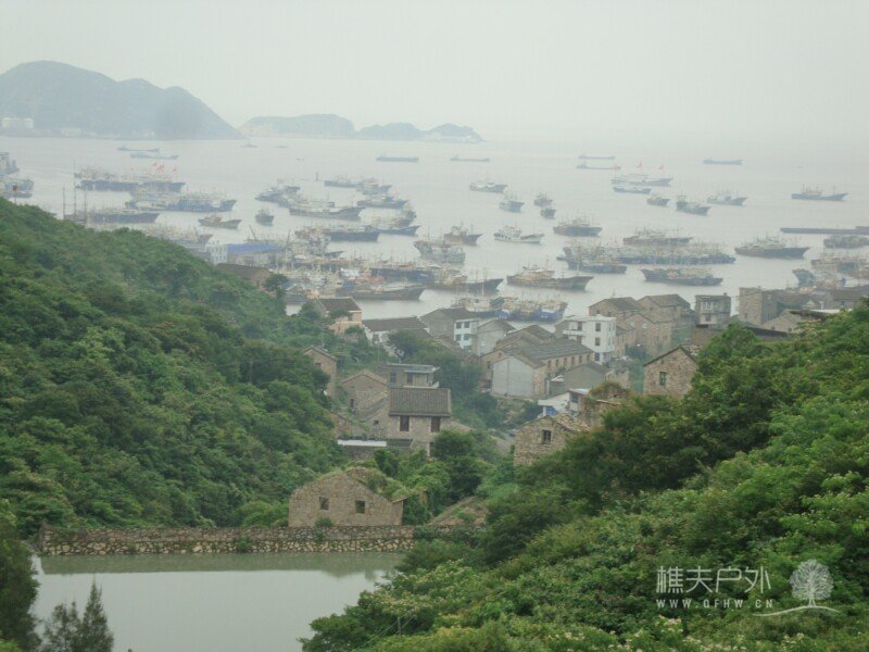 DSC08603.jpg