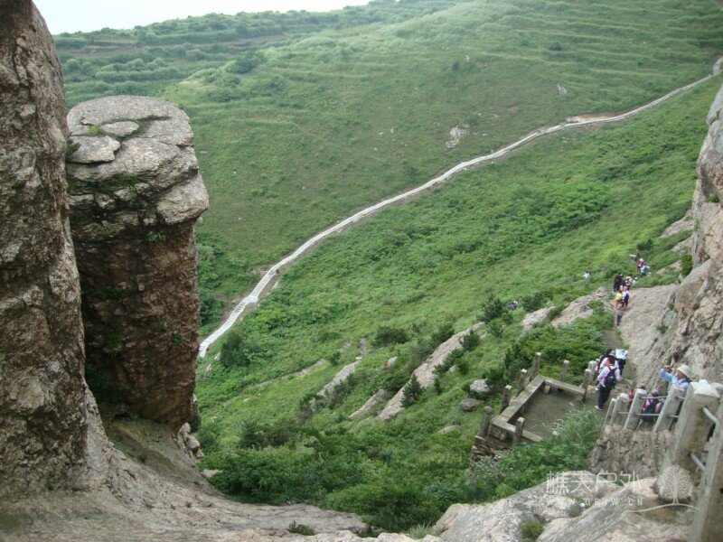 DSC08782.jpg