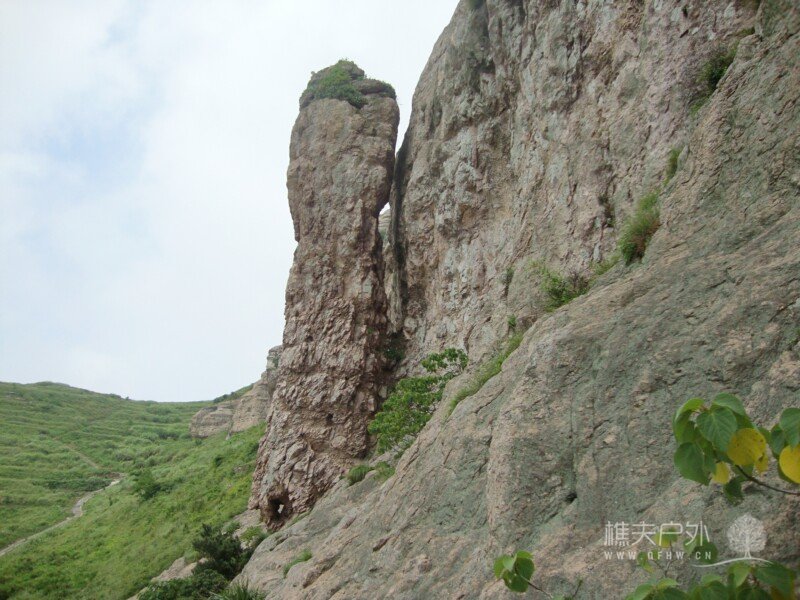 DSC08790.jpg