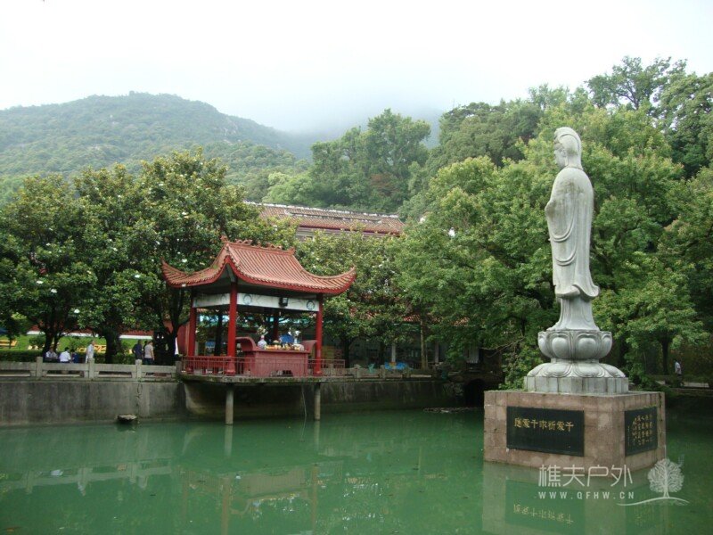 DSC08872.jpg