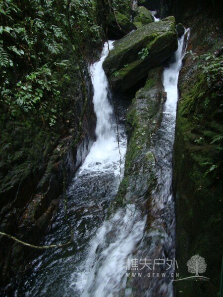 DSC09242.jpg