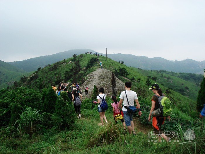 nEO_IMG_DSC08829.jpg
