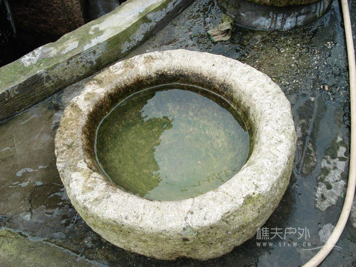 nEO_IMG_DSC08913.jpg