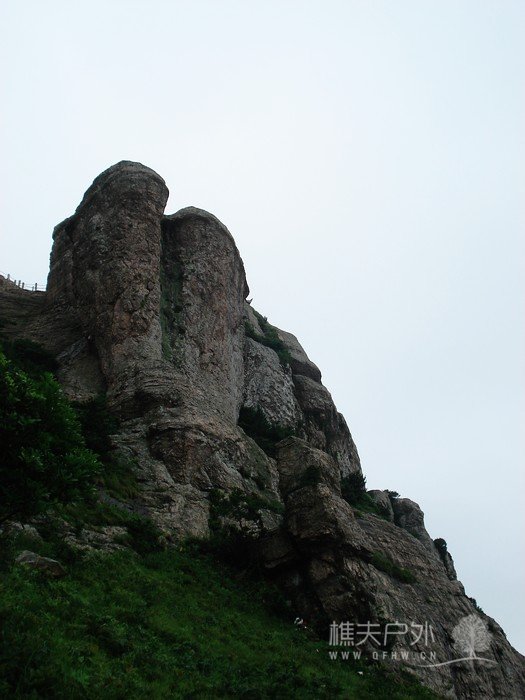 nEO_IMG_DSC08966.jpg