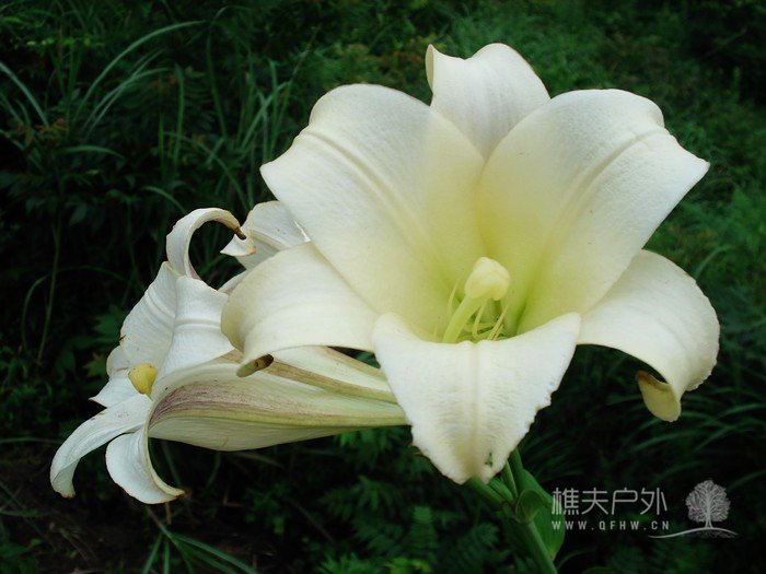 nEO_IMG_DSC08969.jpg
