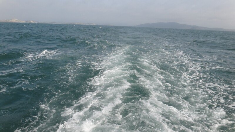 DSC02195.jpg