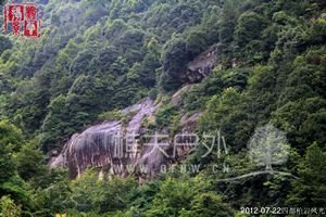 nEO_IMG_IMG_7879.jpg