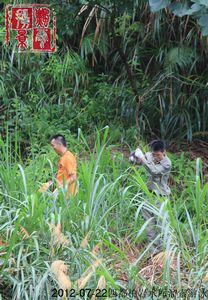 nEO_IMG_IMG_7912.jpg