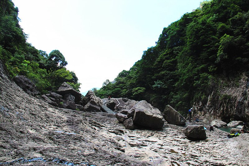 IMG_8779_副本.jpg