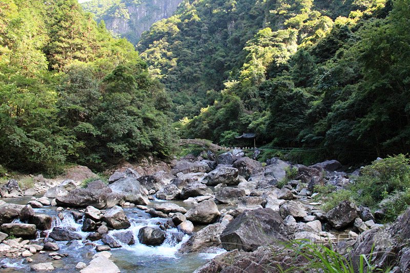 IMG_8853_副本.jpg