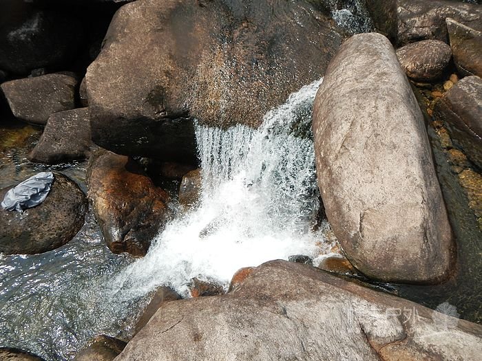 DSCN0186.jpg