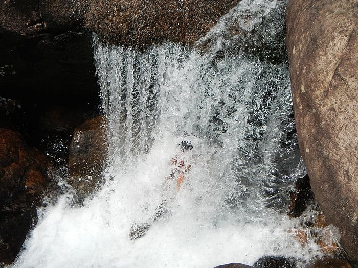 DSCN0187.jpg