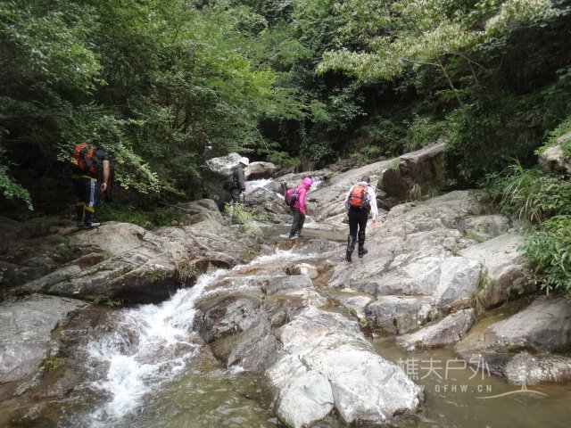 DSC03916.JPG
