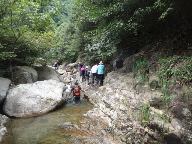 DSC03917.JPG