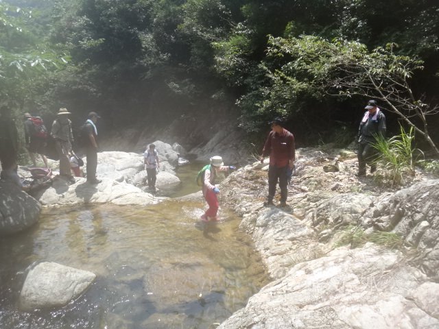 DSC03934.JPG