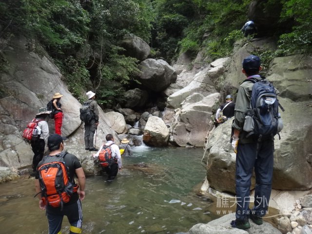 DSC03953.JPG