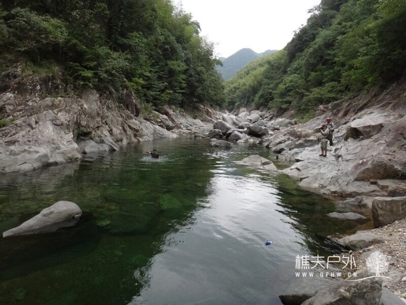 DSC04290.jpg