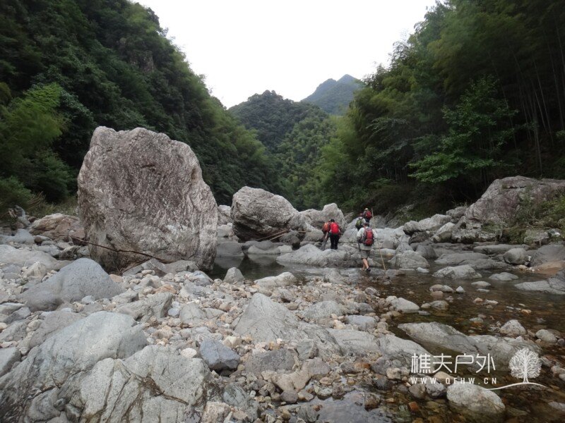 DSC04335.jpg