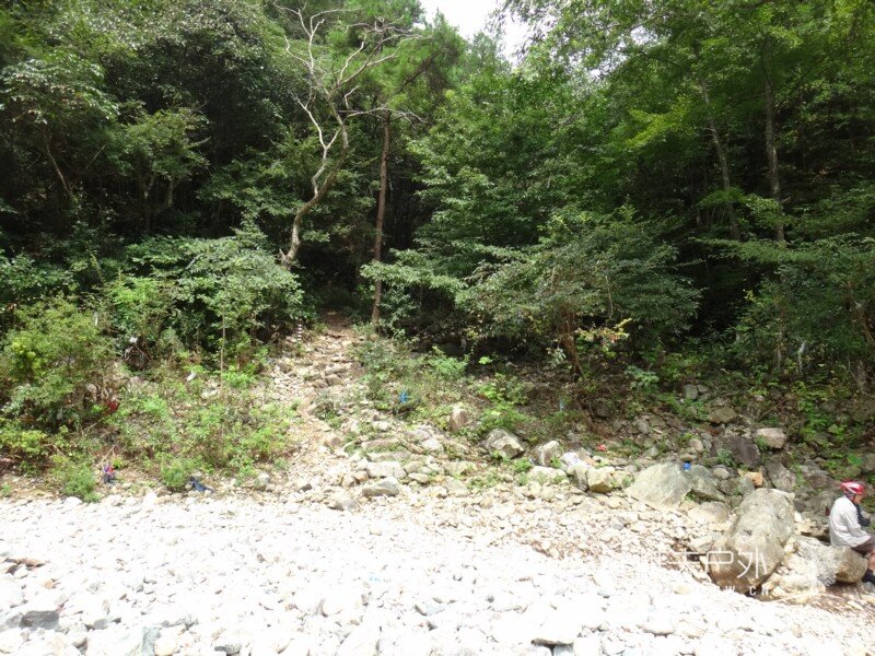 DSC04404.jpg