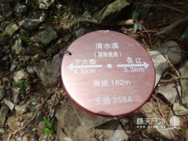 DSC04406.jpg