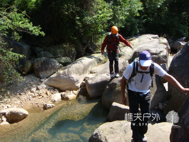 DSC08655.JPG