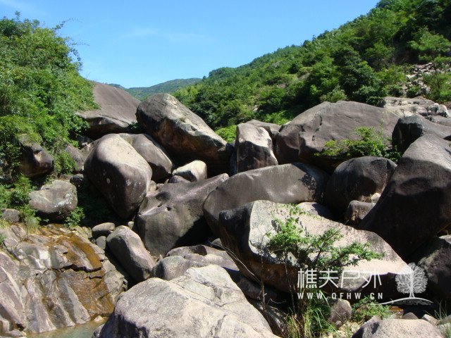 DSC08675.JPG
