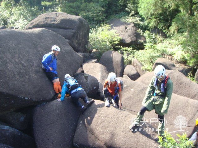DSC08756.JPG