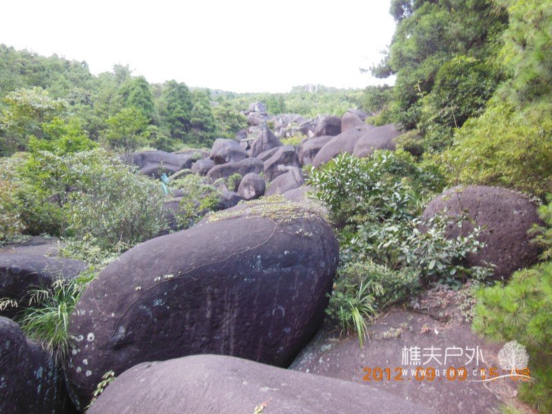 DSCN3294.jpg