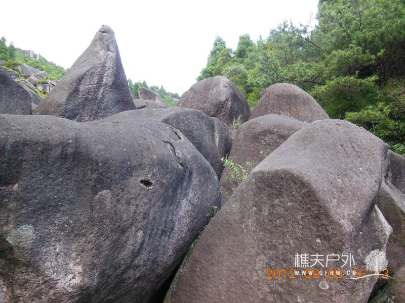 DSCN3304.jpg