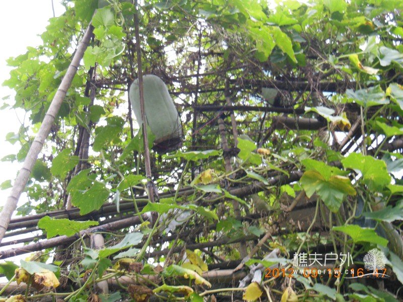 DSCN3619.jpg