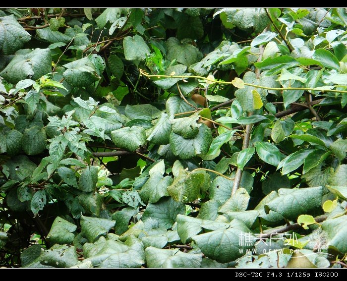 DSC07500_nEO_IMG.jpg
