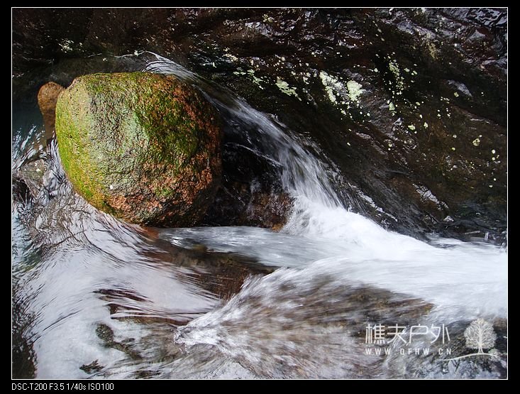 nEO_IMG_DSC05989.jpg